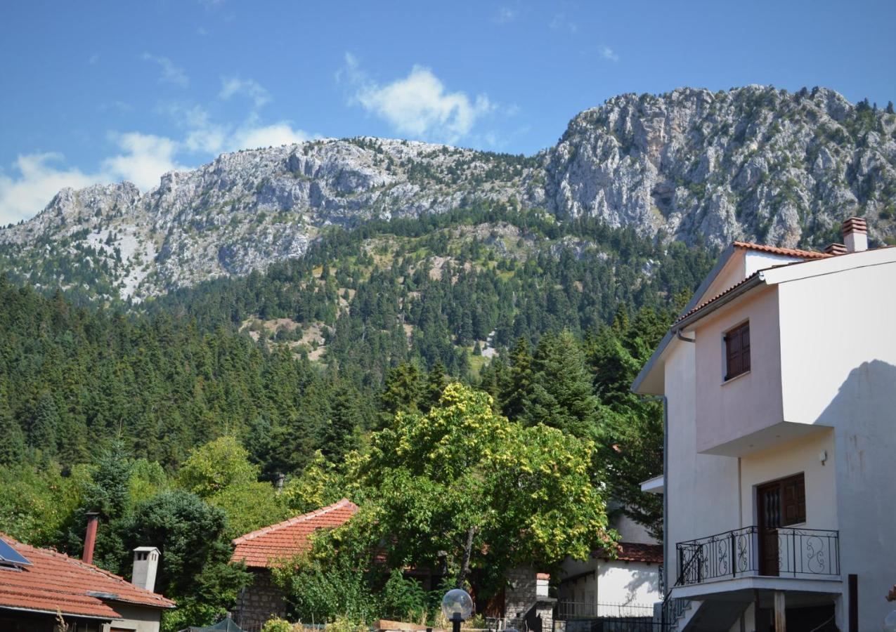 Ferienwohnung Elati Mansion Exterior foto